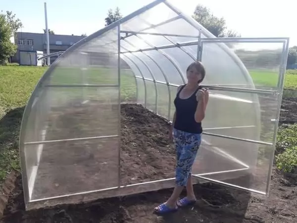 Теплица Ударница Урожайная